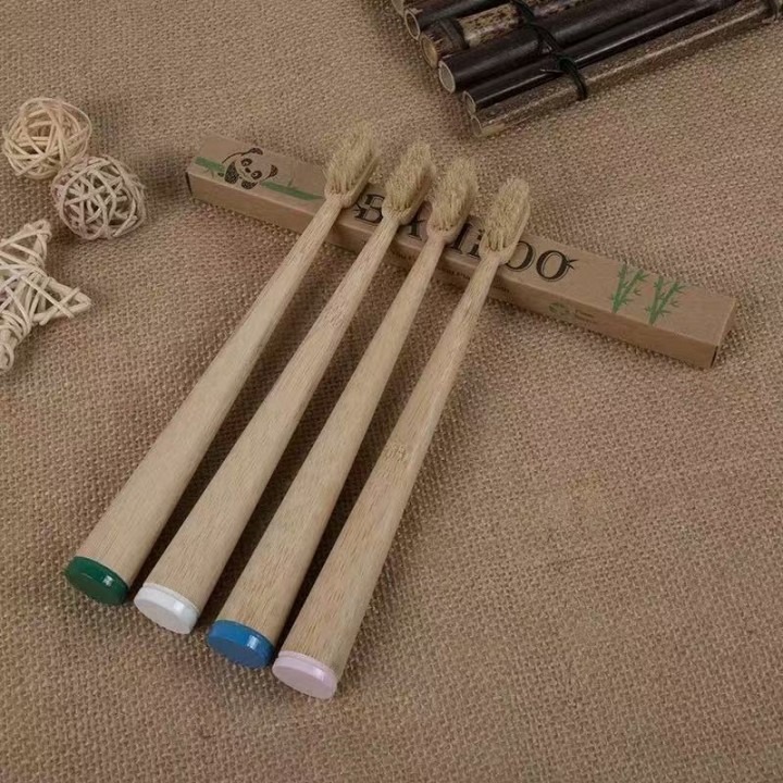 Forma de cono de cepillo de dientes de bambú