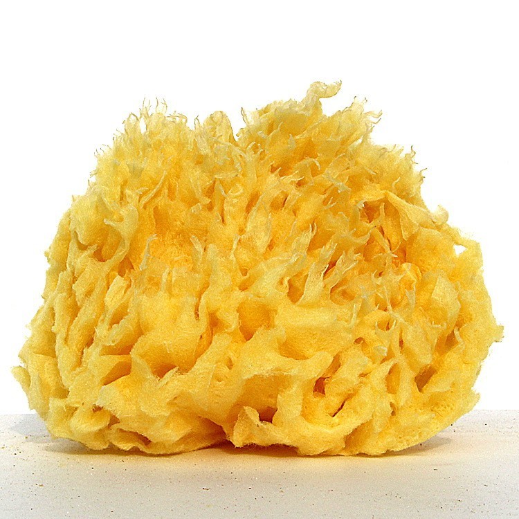 Esponja natural de Grecia